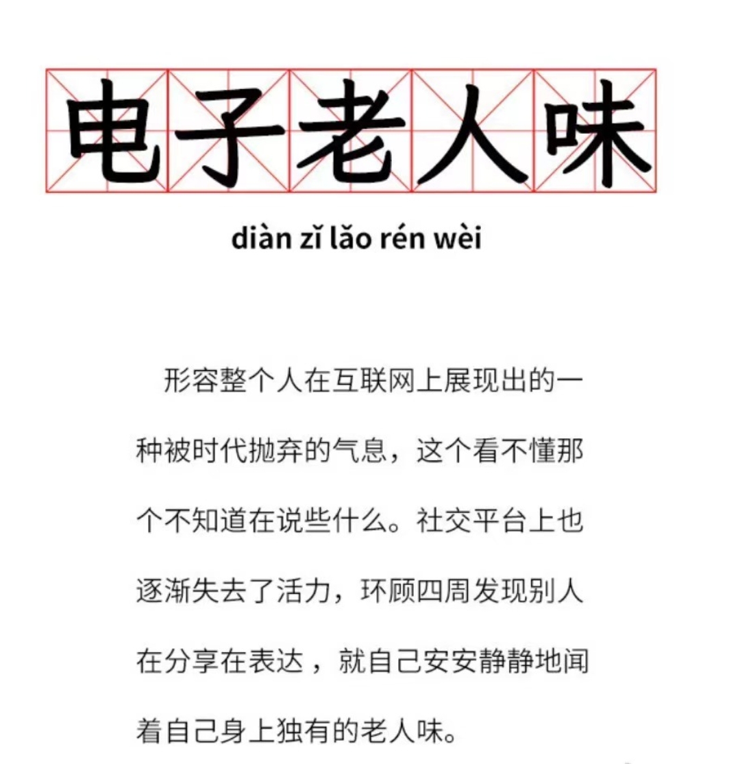电子老人味