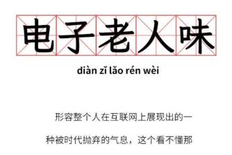 電子老人味是什么意思