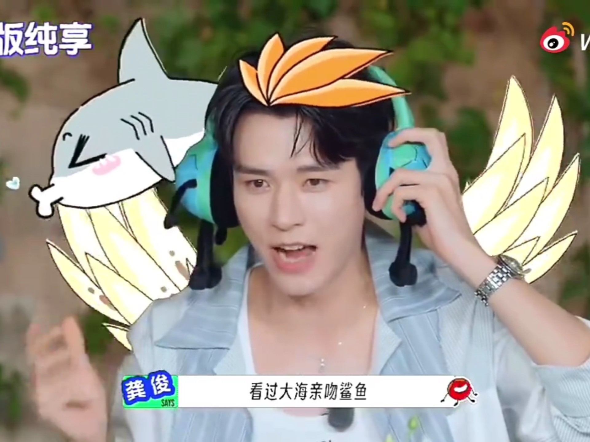 亲吻鲨鱼