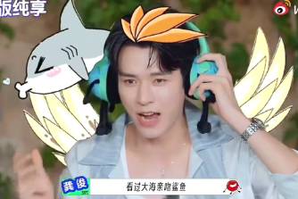 親吻鯊魚是什么意思