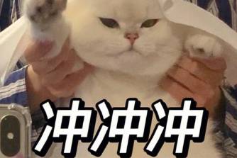 我要沖米米是什么意思