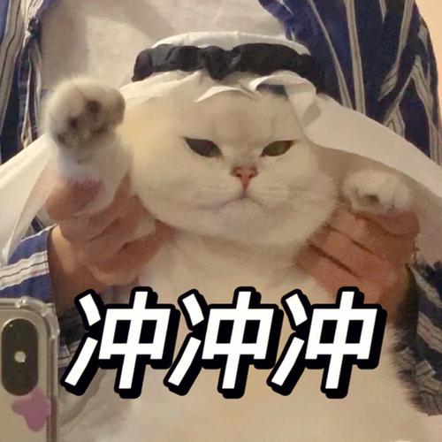 我要冲米米