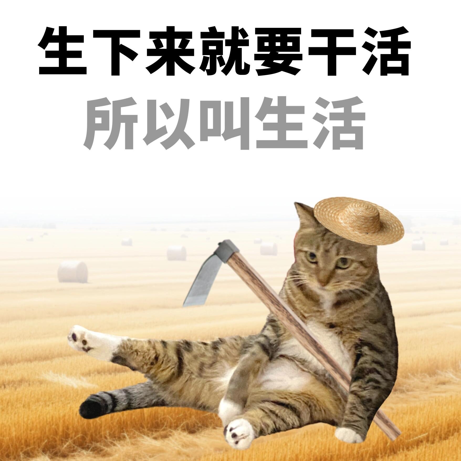 0248‌