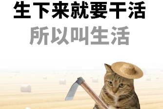 0248?是什么意思