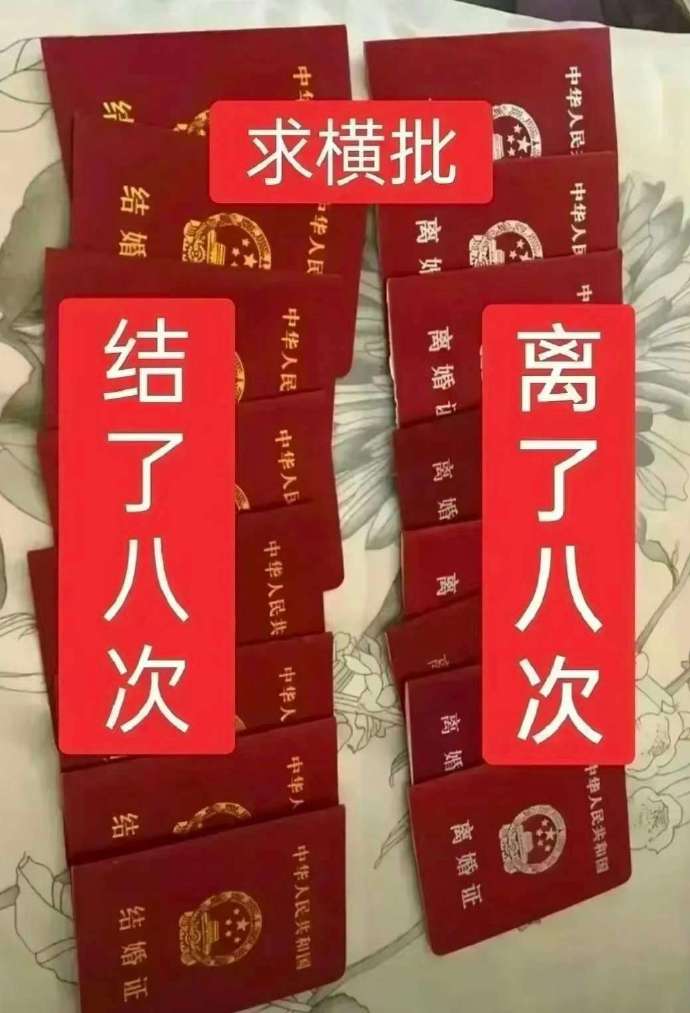 八离世家