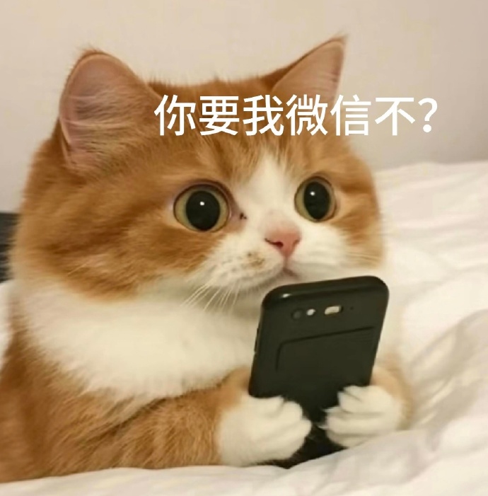 你要我微信不