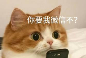 你要我微信不是什么意思