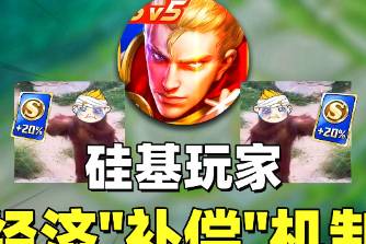 硅基玩家是什么意思