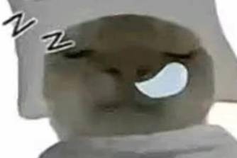 睡覺鼠鼠是什么意思