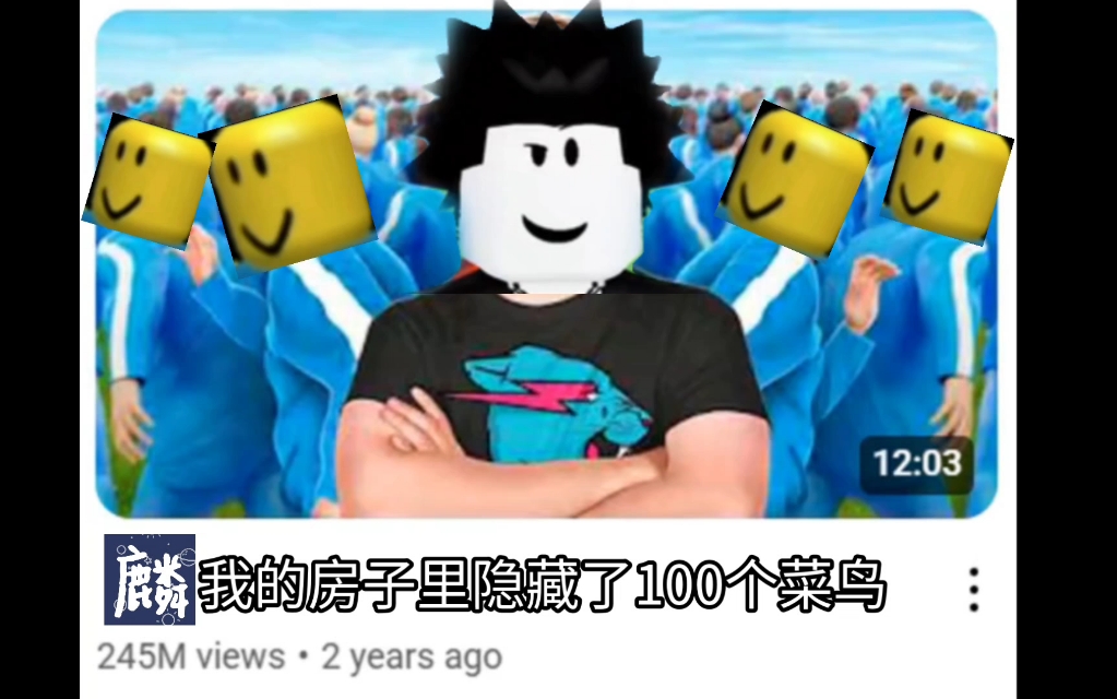 因为我的房子里面隐藏了太多菜鸟