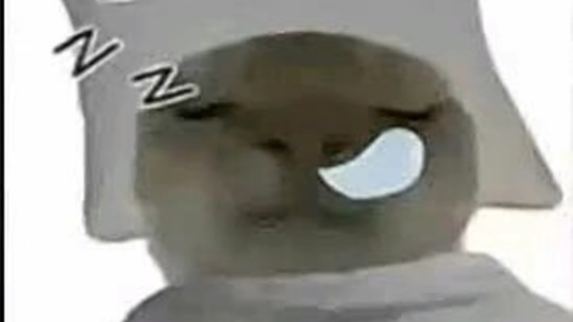 睡觉鼠鼠