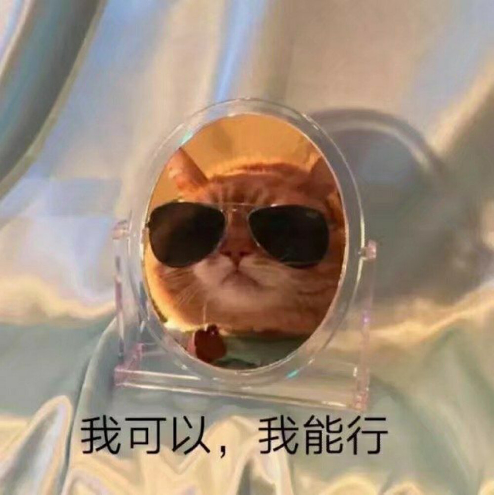 厨力放出