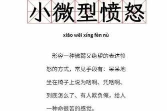 小微型憤怒是什么意思