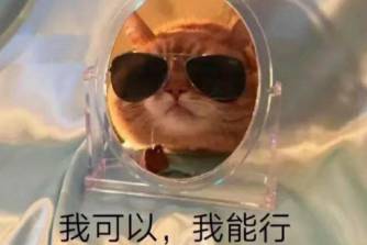 廚力放出是什么意思