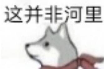 并非XX是什么意思