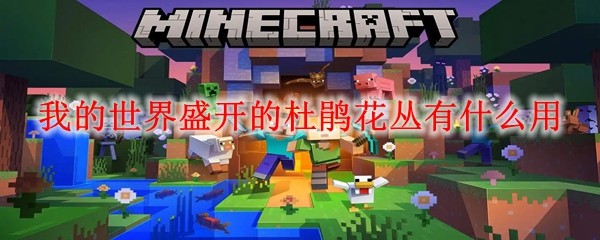 ‌《我的世界》盛开的杜鹃花丛全功能解析‌