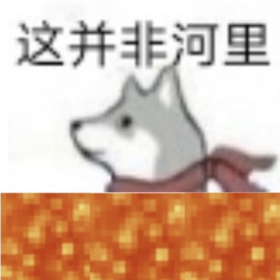 并非XX