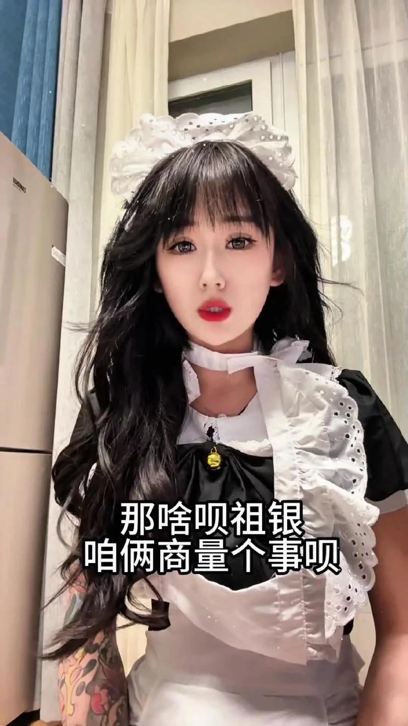 互联网北方女仆