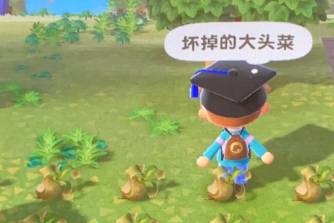 动森大头菜是什么意思