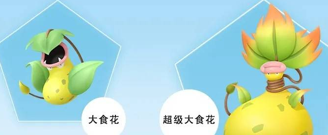 《宝可梦传说ZA》超级大食花全面解析