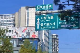 首爾病是什么意思