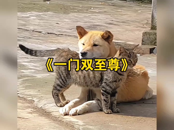 一门双至尊