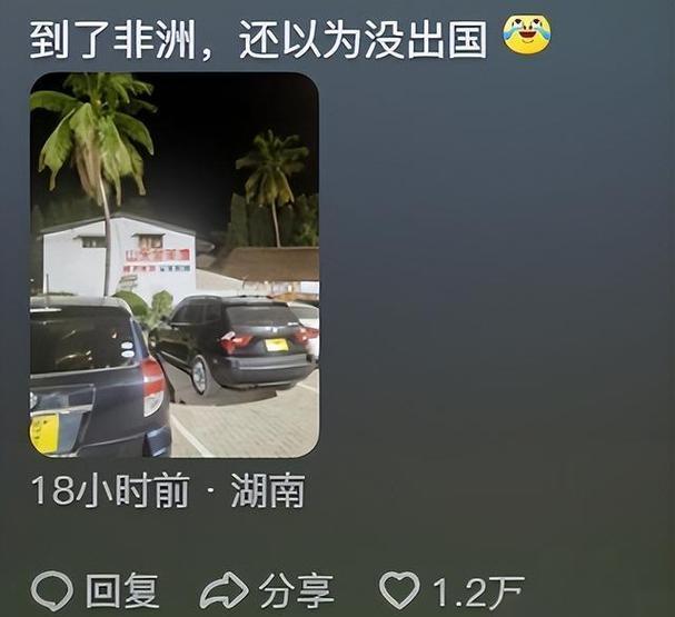 地球街溜子