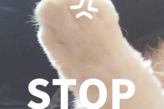 别让xx拍这些是什么意思