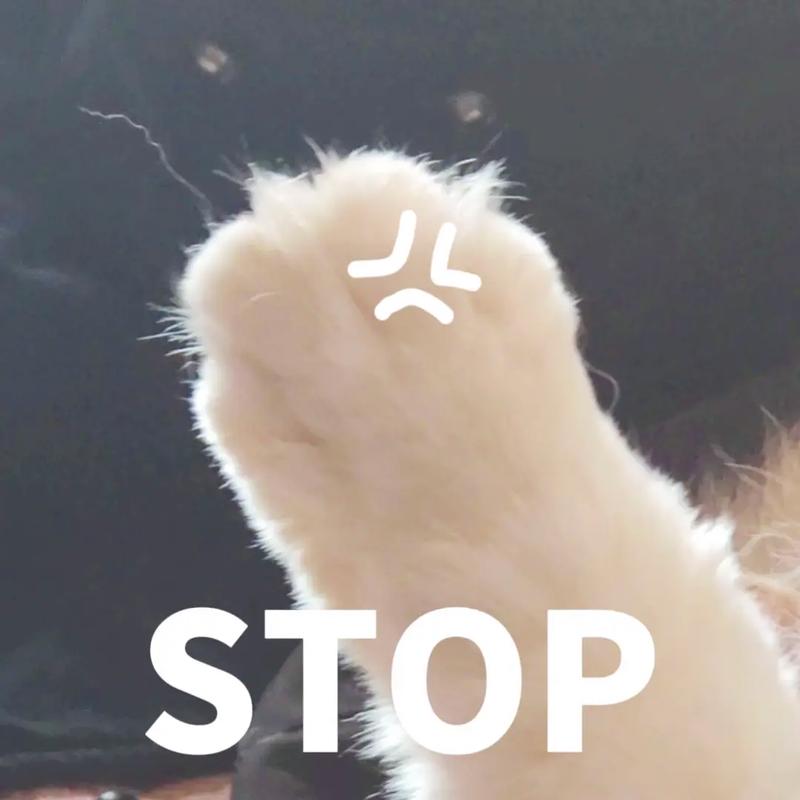 別讓xx拍這些