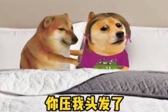你压我头发了是什么意思