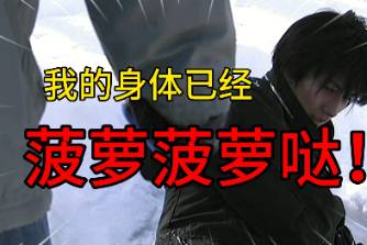 菠萝菠萝哒是什么意思