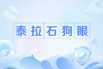 泰拉石狗眼是什么意思