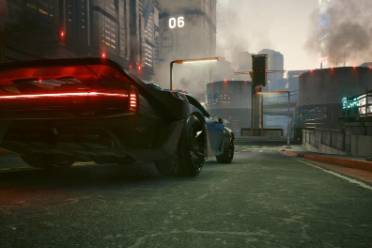 荒坂狗是什么意思