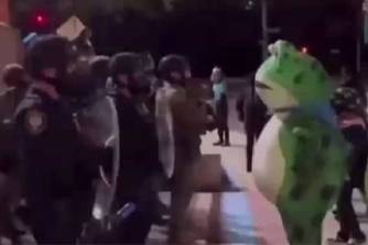 波特兰青蛙是什么意思