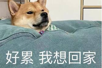 鲁,俺想你了是什么意思