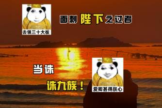 赛博皇帝是什么意思