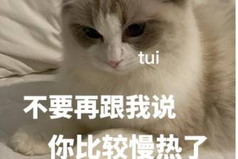 薛定谔的慢热是什么意思