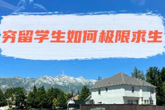 求生式留学是什么意思