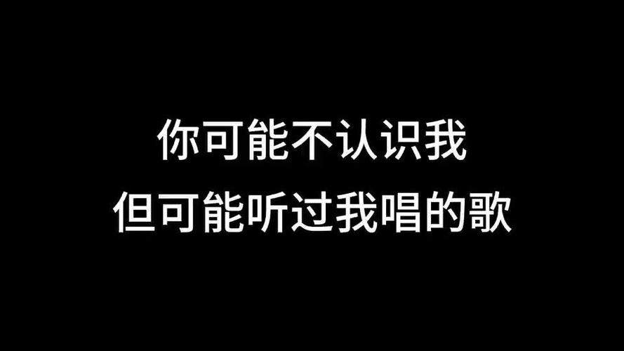 你可能不认识我，但你也许听过我唱的歌