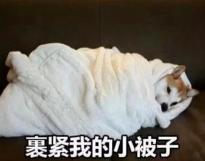 不是我的错是棉被的错