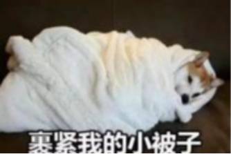 不是我的错是棉被的错是什么意思