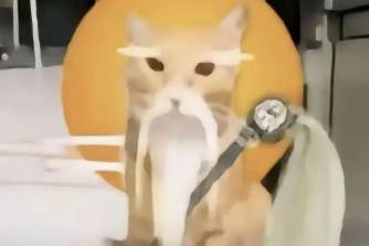 幻影哈吉仙是什么意思