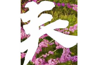 野生汉字是什么意思