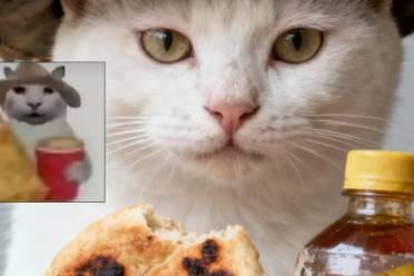 沒(méi)經(jīng)濟(jì)沒(méi)建模的我是什么意思