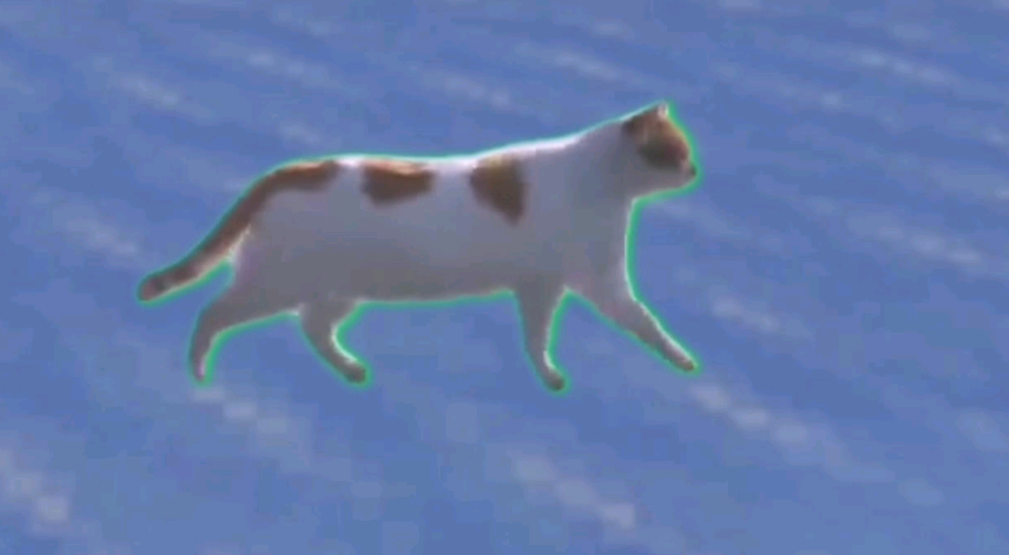 小貓就在冰上走走