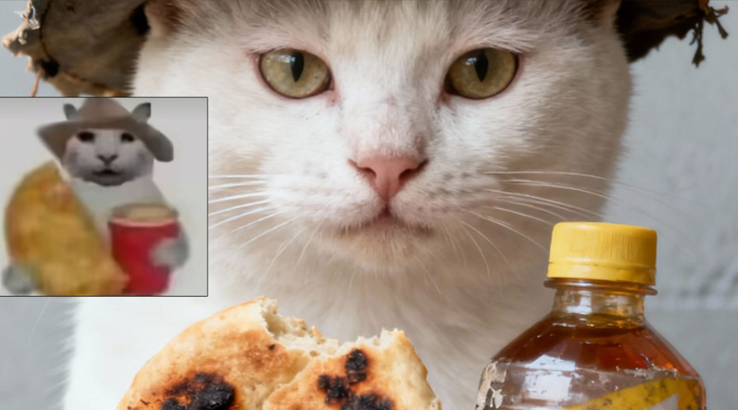 沒經(jīng)濟沒建模的我