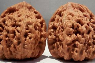 賭核是什么意思