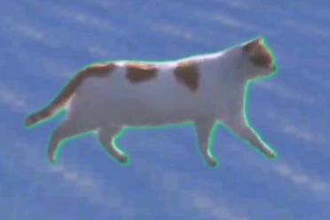 小貓就在冰上走走是什么意思