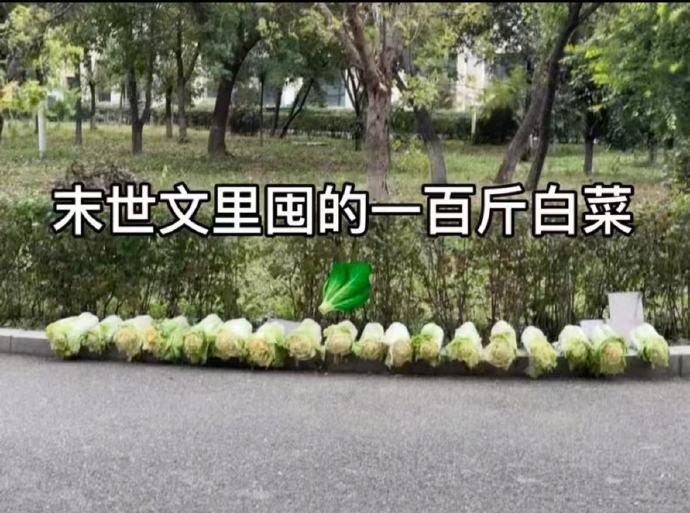 南北方人不许写末世文