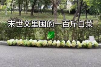 南北方人不许写末世文是什么意思